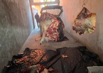 PC prende 11 por venda de carne de gado furtado na Bahia