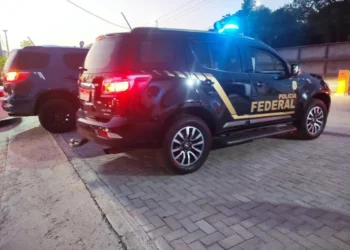 PF desarticula fraude milionária em importações na Bahia