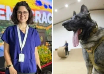 Morre veterinária atacada por cão do Senado há 4 dias internada