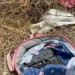 Jovem de 19 anos é presa suspeita de matar guarda municipal com arma da própria vítima