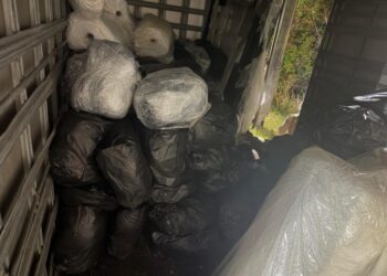 PM prende motorista e apreende 1 tonelada de drogas na Bahia