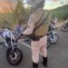 PM apreende 14 motocicletas em via de cidade baiana