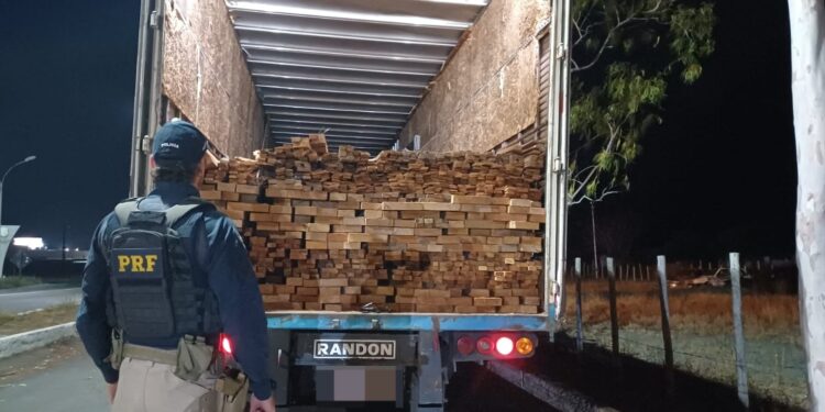 PRF flagra caminhão com madeira ilegal de corte proibido na BR-116 na Bahia