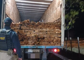 PRF flagra caminhão com madeira ilegal de corte proibido na BR-116 na Bahia