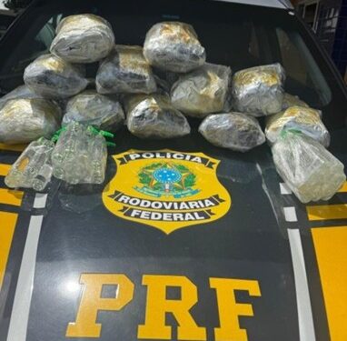 PRF apreende maconha e lança-perfume em ônibus na BR-116 na Bahia